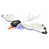 Arctic Tern