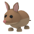 Bandicoot