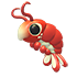 Emperor Shrimp