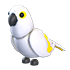 White Amazon