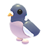 Wood Pigeon