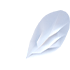 Bee Wings