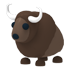 Buffalo