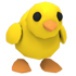 Chick