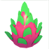 Dragonfruit Feet