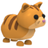 Ginger Cat