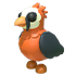 Lammergeier