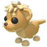 Lion Cub