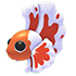 Orange Betta Fish