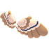 Owl Wings