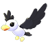 Pilot Gull