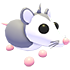 Possum