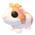 Red Dutch Guinea Pig