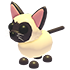 Siamese Cat