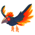Storm Condor